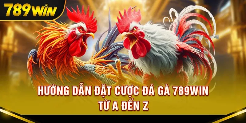 Chỉ vài bước đơn giản để tham gia cược đá gà tại 789Win