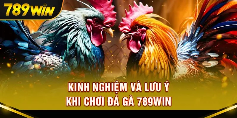 Nắm bắt bảng kèo và hiểu luật để không bị nhầm cược
