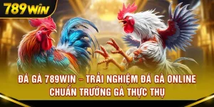 Đá gà 789Win – Trải nghiệm đá gà online chuẩn trường gà thực thụ