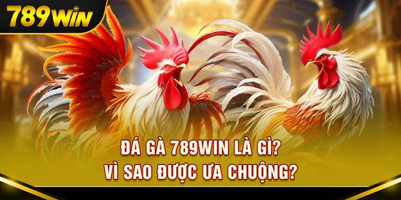 Người chơi ưa chuộng 789Win vì độ uy tín và tốc độ trả thưởng