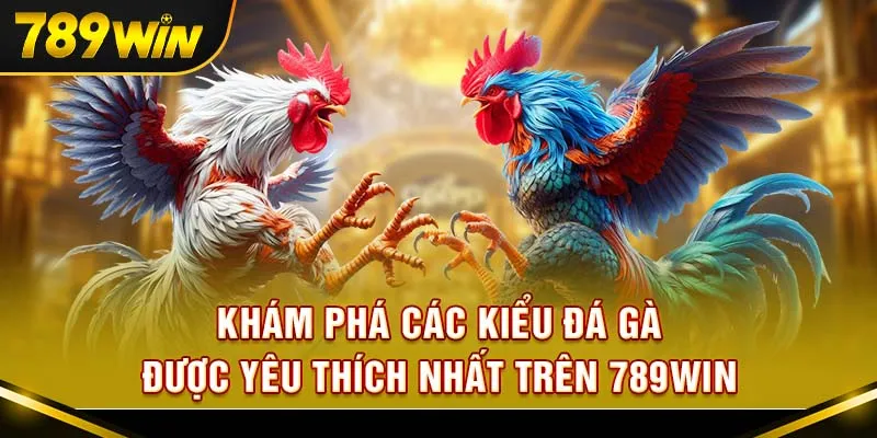 Mỗi kiểu đá gà trên 789Win đều mang trải nghiệm riêng biệt cho người chơi